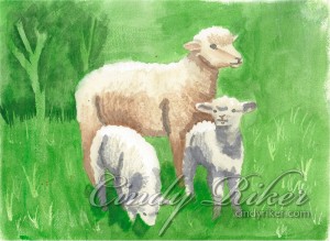 Sheep and Lambs